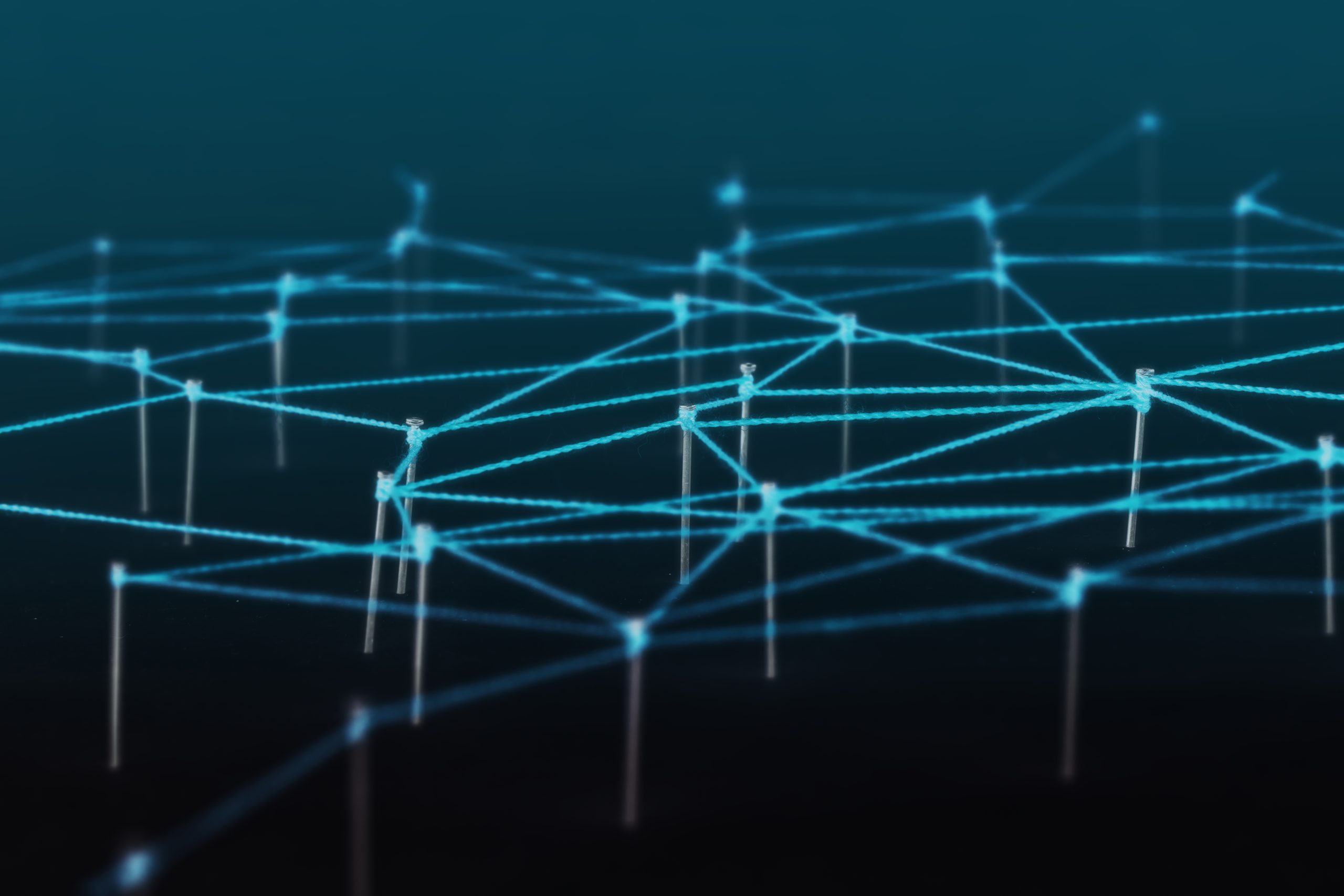 Partner Network
