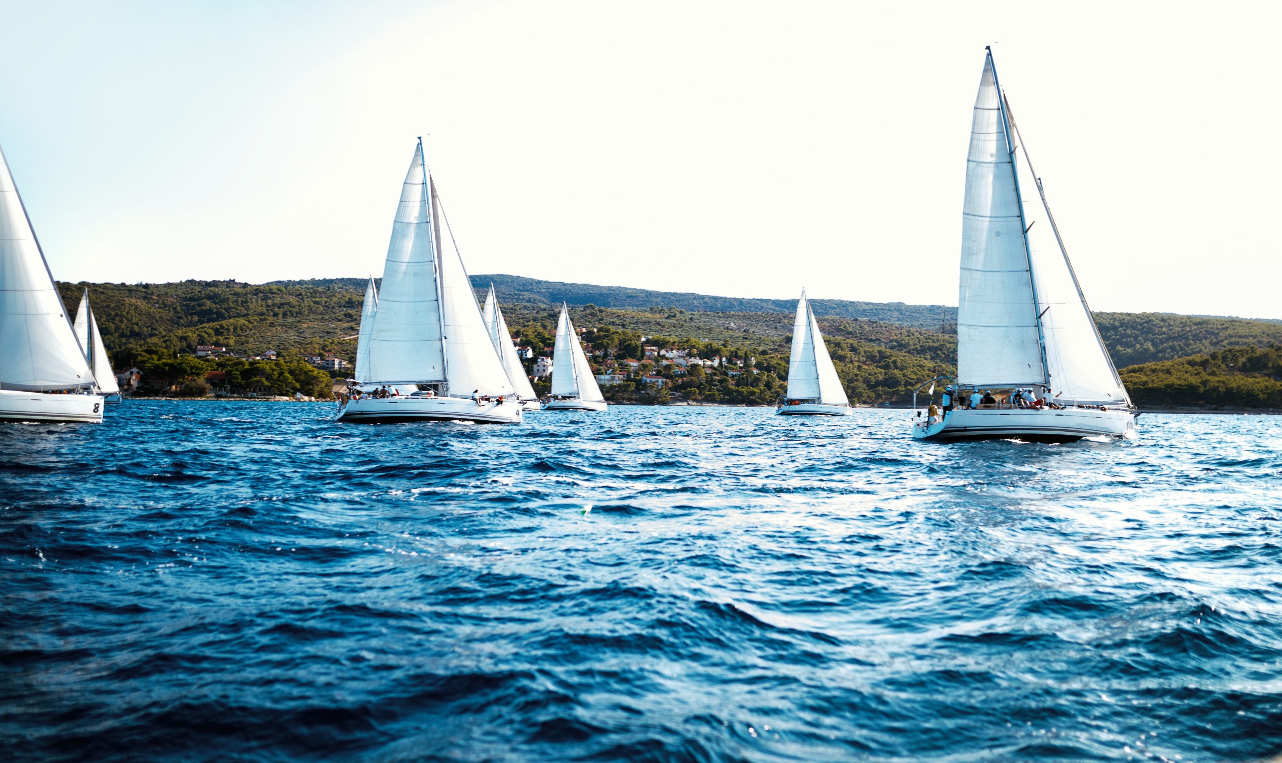 Yacht Races