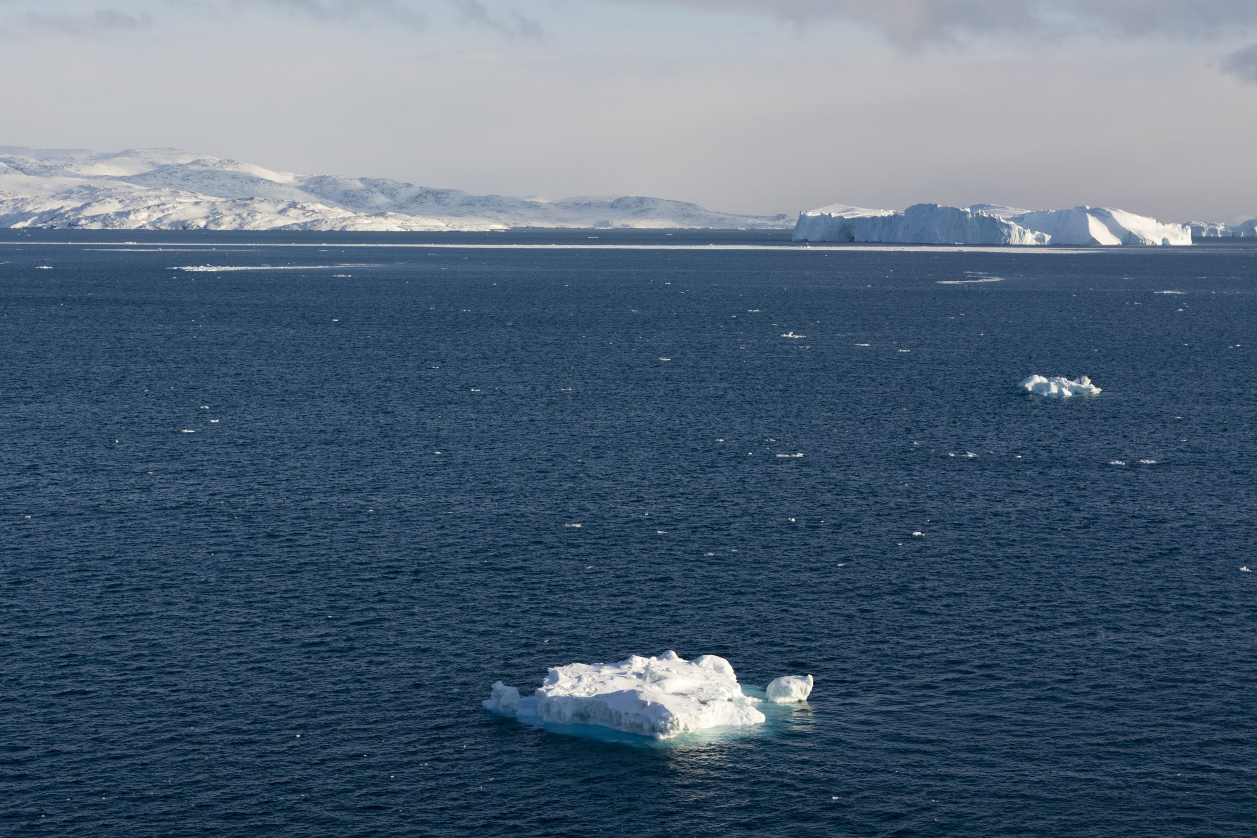 C-CORE and MDSI (Copenhagen, Denmark) have joined forces to offer a maritime domain awareness service using a system of systems approach to the Danish Joint Arctic Command (JACO). JACO's primary mission in peacetime is to ensure Danish sovereignty by monitoring the area around the Faroe Islands and Greenland.